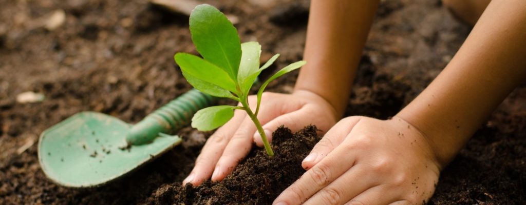 <strong>SOUTENONS ENSEMBLE LA NATURE ET PARTAGEONS LE AVEC NOS ENFANTS</strong>« ><br />
</a><!-- .elementskit-entry-thumb END --><br />
<!-- .elementskit-entry-header END --></p>
<h2>
					<a href=