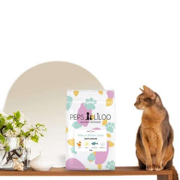 shop-croquettes-chat Alimentations Chat