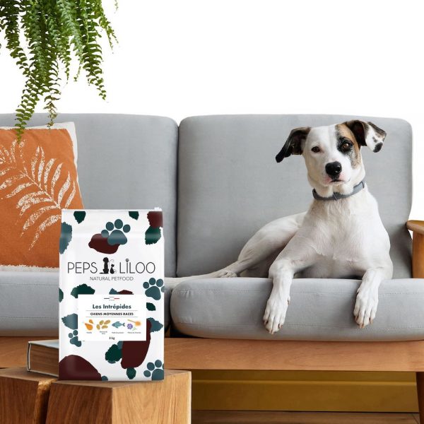 shop-croquettes-chien Alimentations Chien